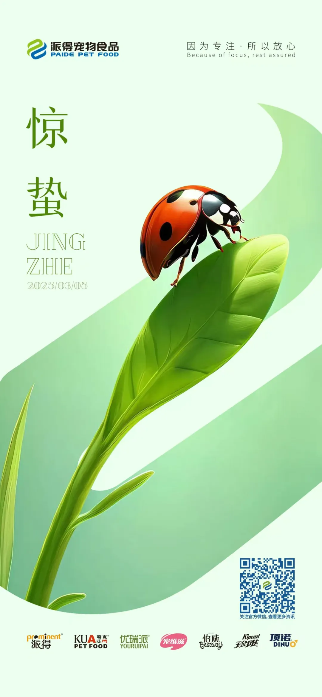 派得宠物