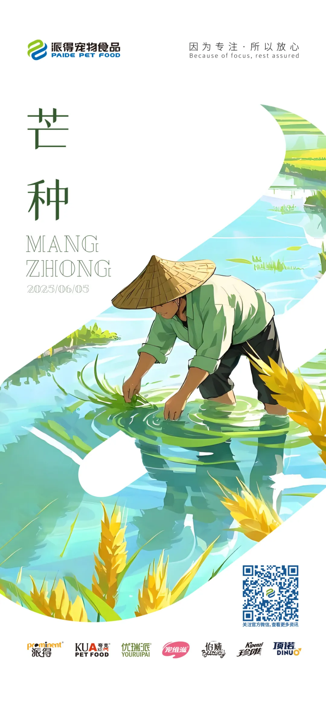 派得宠物