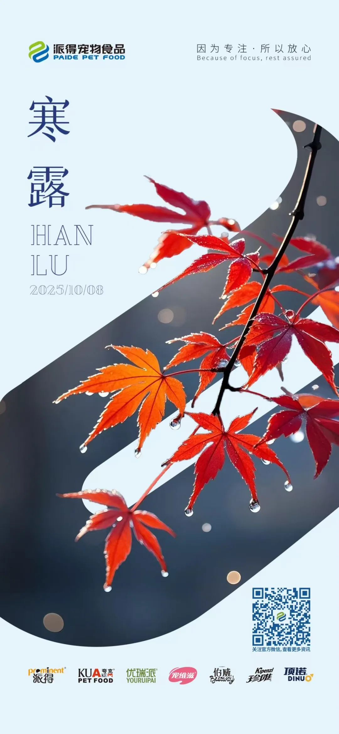 派得宠物